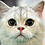 SUPER_FEZA